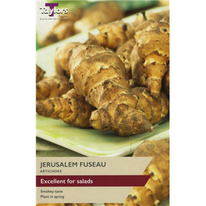 Artichoke Jerusalem
